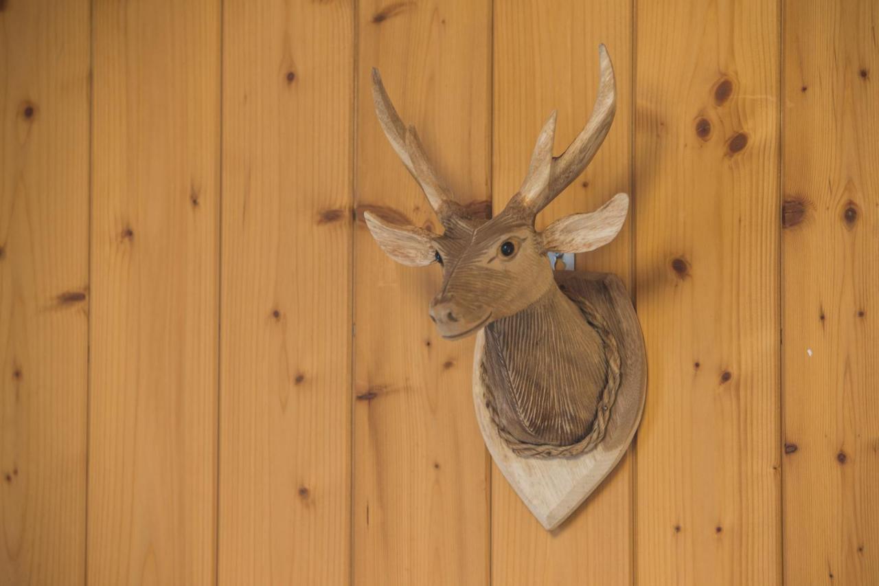 Chalet Sunneblick Grindelwald Buitenkant foto