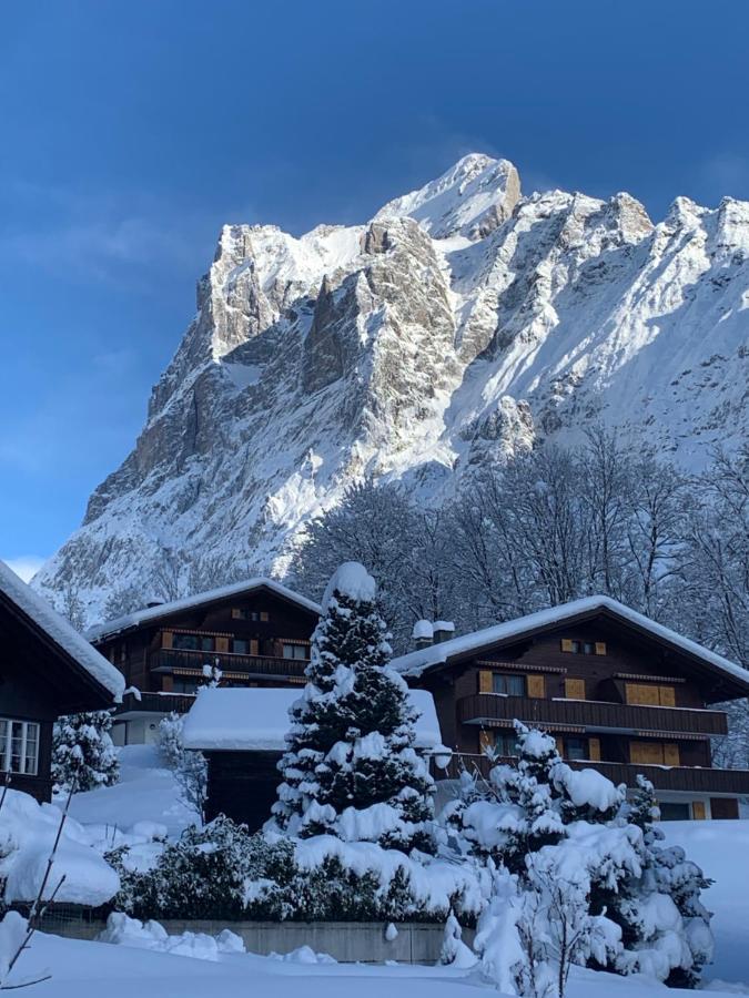 Chalet Sunneblick Grindelwald Buitenkant foto