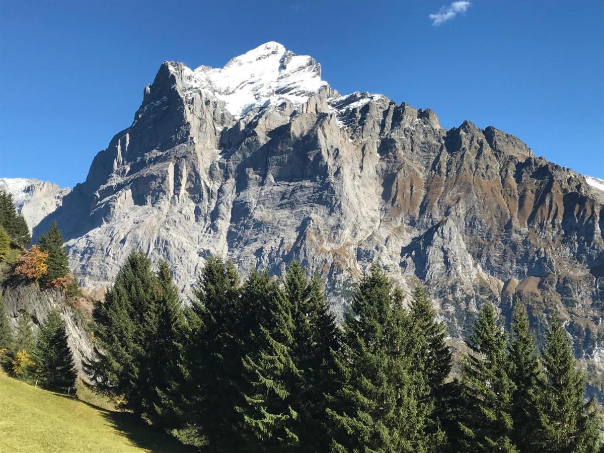 Chalet Sunneblick Grindelwald Buitenkant foto